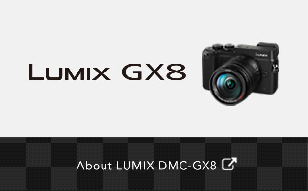 About Panasonic LUMIX DMC-GX8